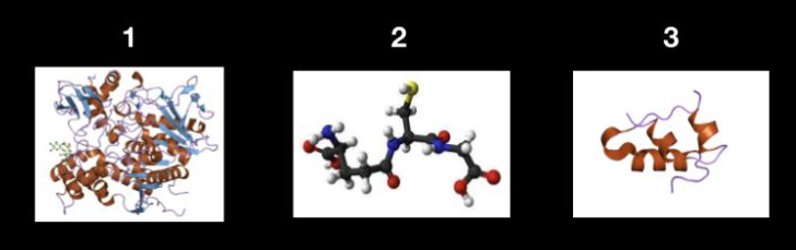 Three molecules shown from left to right in the order of: proteins, small molecules, and peptides